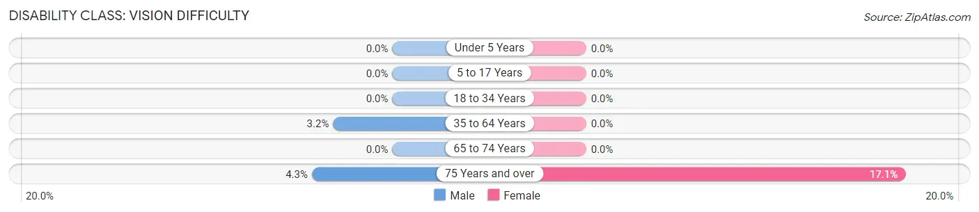 Disability in Zip Code 13335: <span>Vision Difficulty</span>