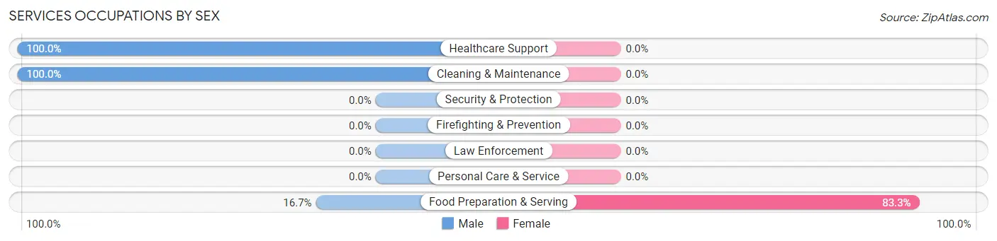 Services Occupations by Sex in Zip Code 13337