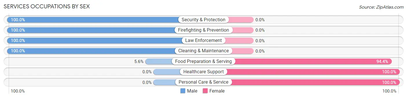 Services Occupations by Sex in Zip Code 13338