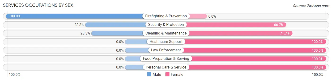 Services Occupations by Sex in Zip Code 13343