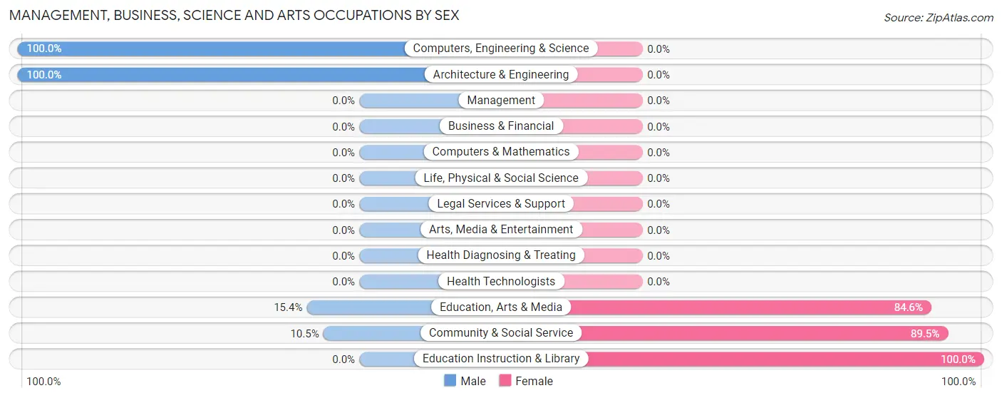 Management, Business, Science and Arts Occupations by Sex in Zip Code 13345