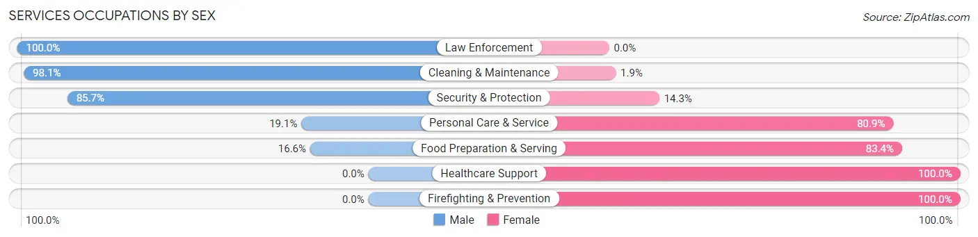 Services Occupations by Sex in Zip Code 13346