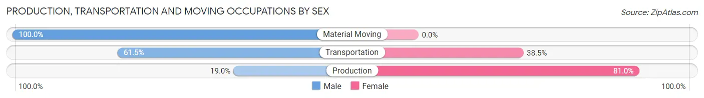 Production, Transportation and Moving Occupations by Sex in Zip Code 13348