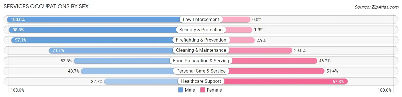Services Occupations by Sex in Zip Code 13350