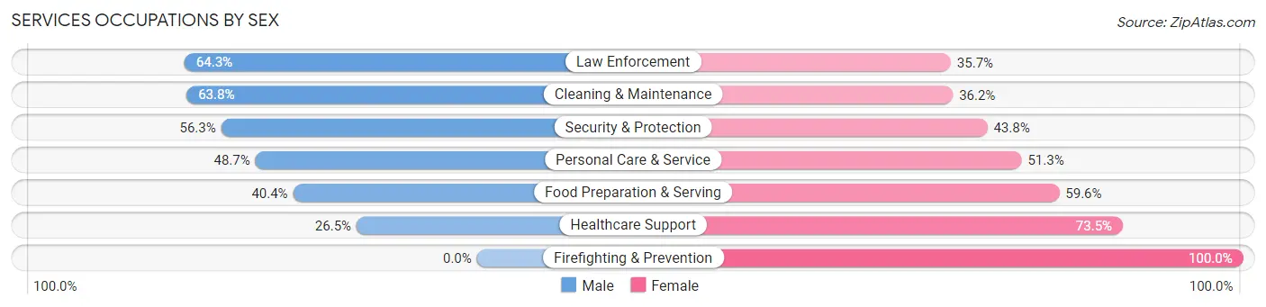 Services Occupations by Sex in Zip Code 13354