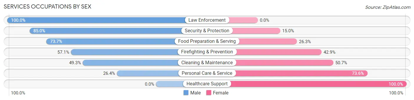 Services Occupations by Sex in Zip Code 13357
