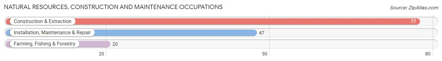 Natural Resources, Construction and Maintenance Occupations in Zip Code 13408