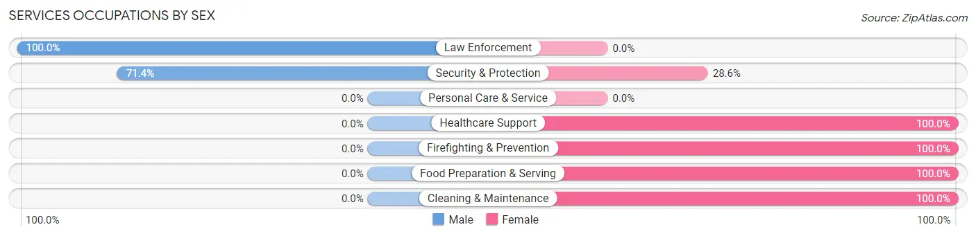 Services Occupations by Sex in Zip Code 13410