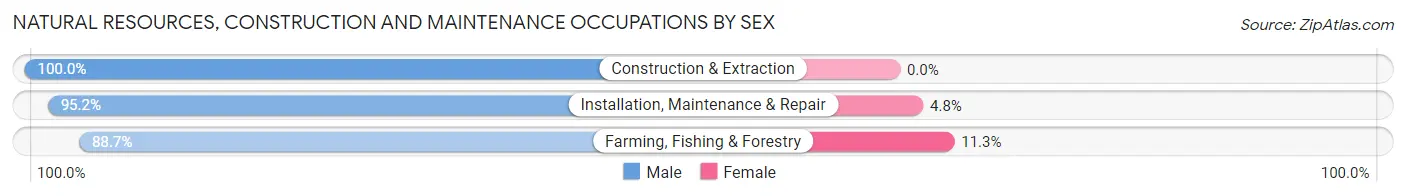 Natural Resources, Construction and Maintenance Occupations by Sex in Zip Code 13439