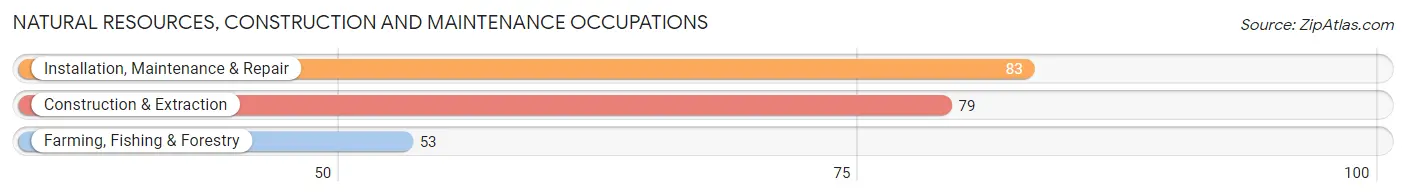 Natural Resources, Construction and Maintenance Occupations in Zip Code 13439