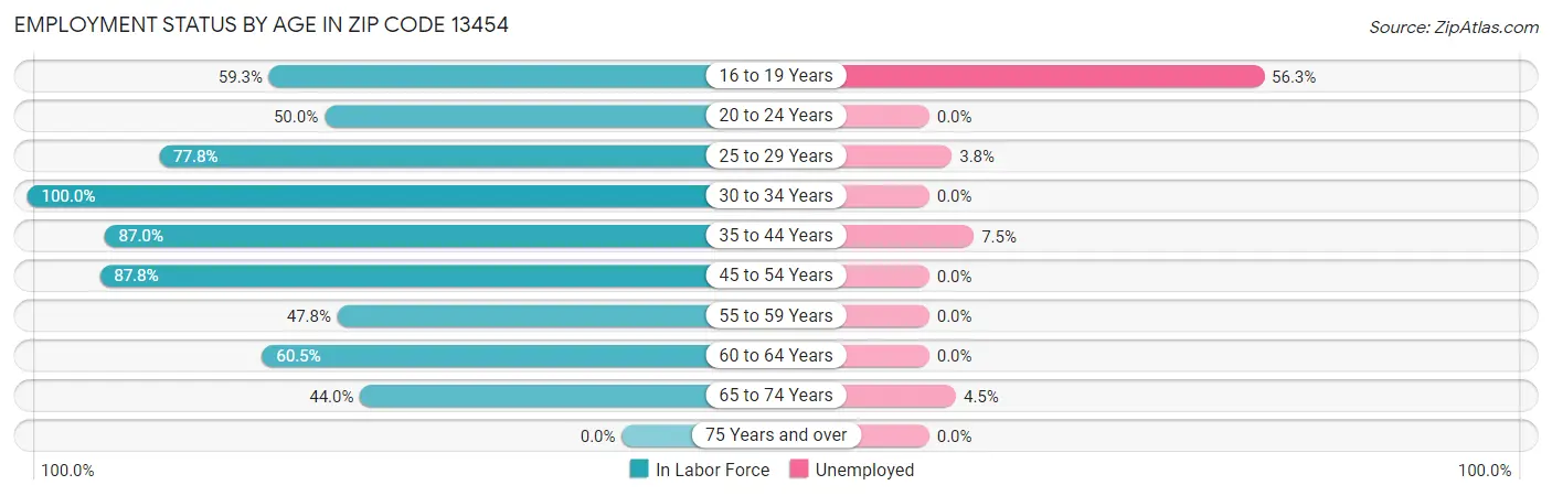 Employment Status by Age in Zip Code 13454