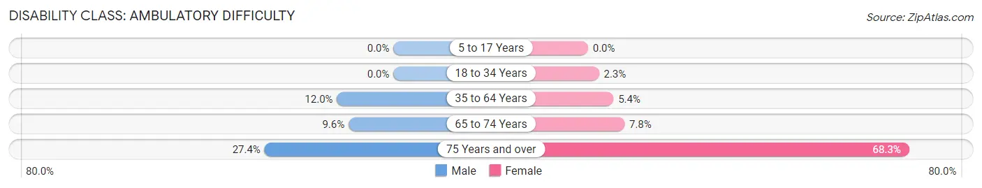 Disability in Zip Code 13471: <span>Ambulatory Difficulty</span>