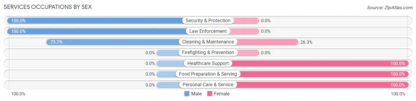 Services Occupations by Sex in Zip Code 13473