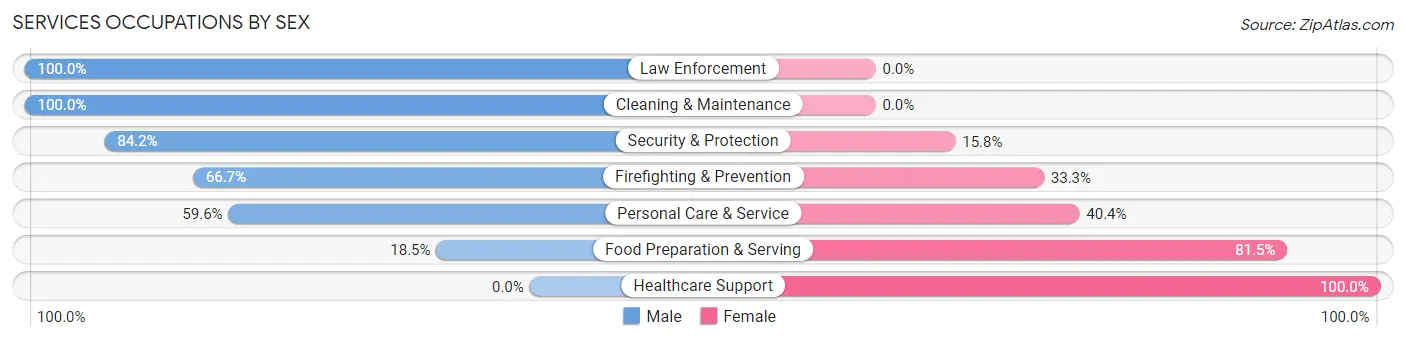 Services Occupations by Sex in Zip Code 13476