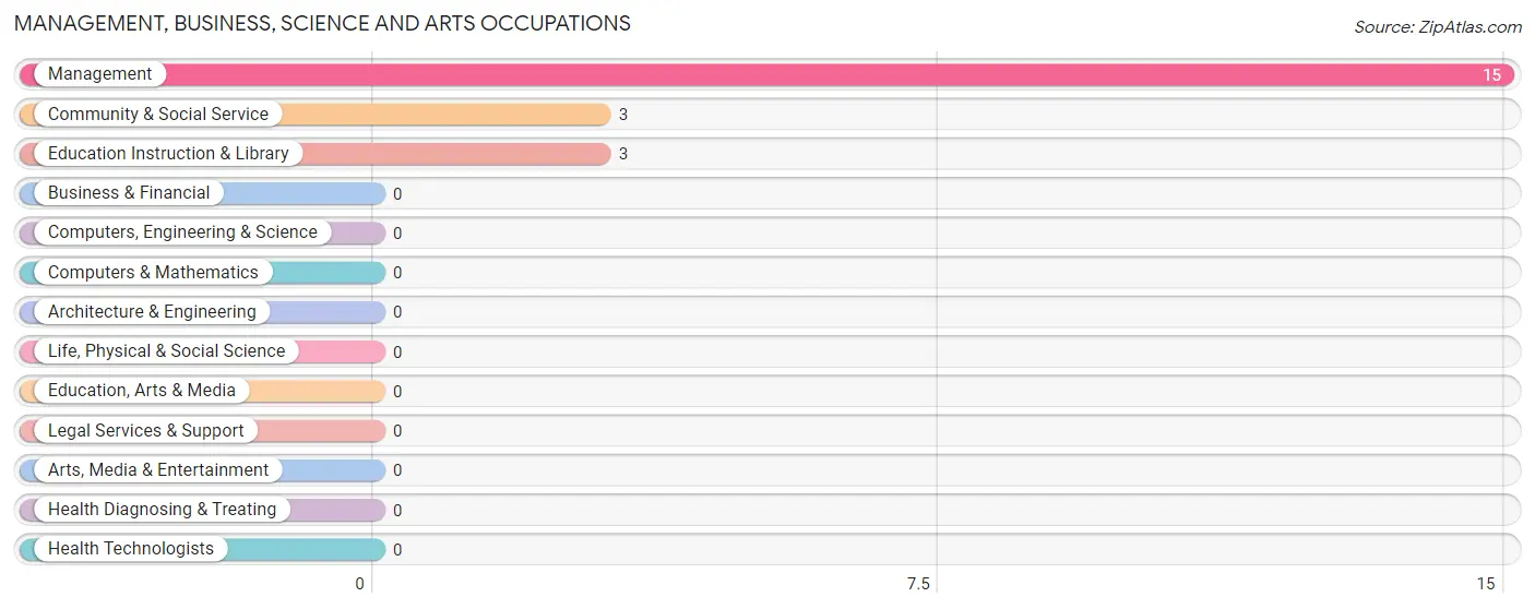 Management, Business, Science and Arts Occupations in Zip Code 13482