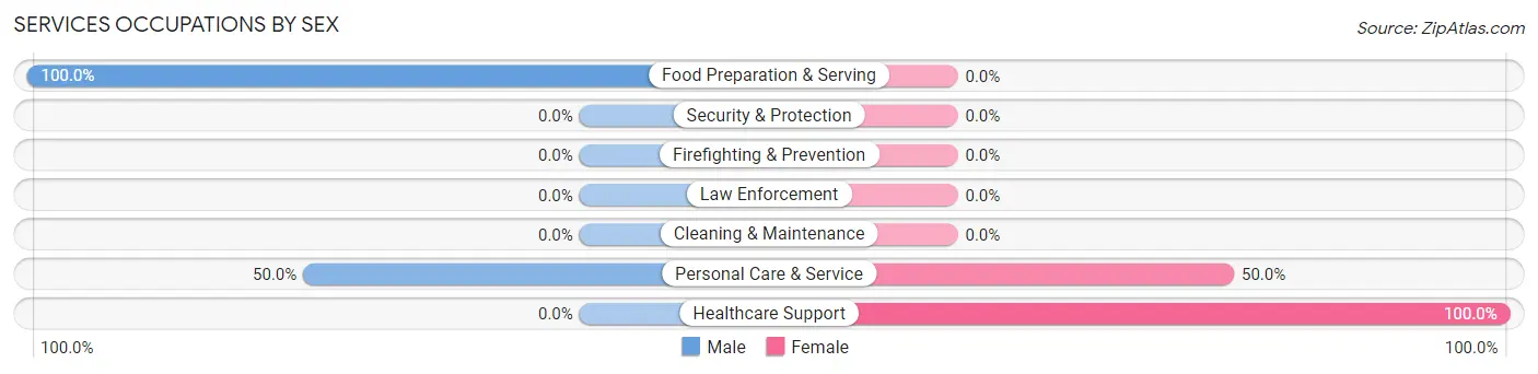 Services Occupations by Sex in Zip Code 13483