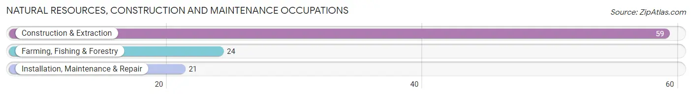 Natural Resources, Construction and Maintenance Occupations in Zip Code 13485