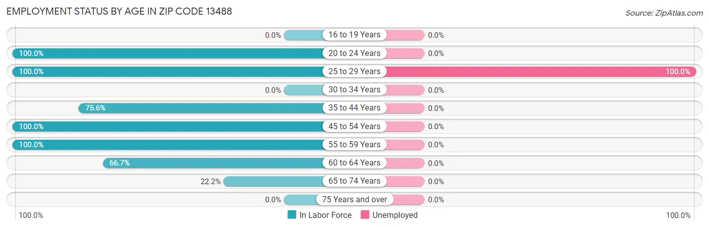 Employment Status by Age in Zip Code 13488