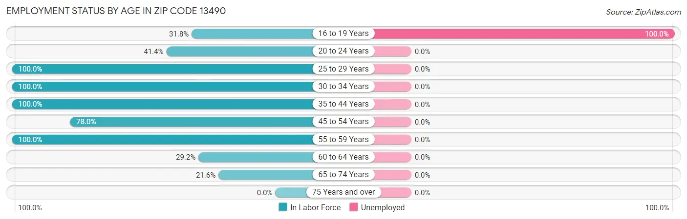 Employment Status by Age in Zip Code 13490