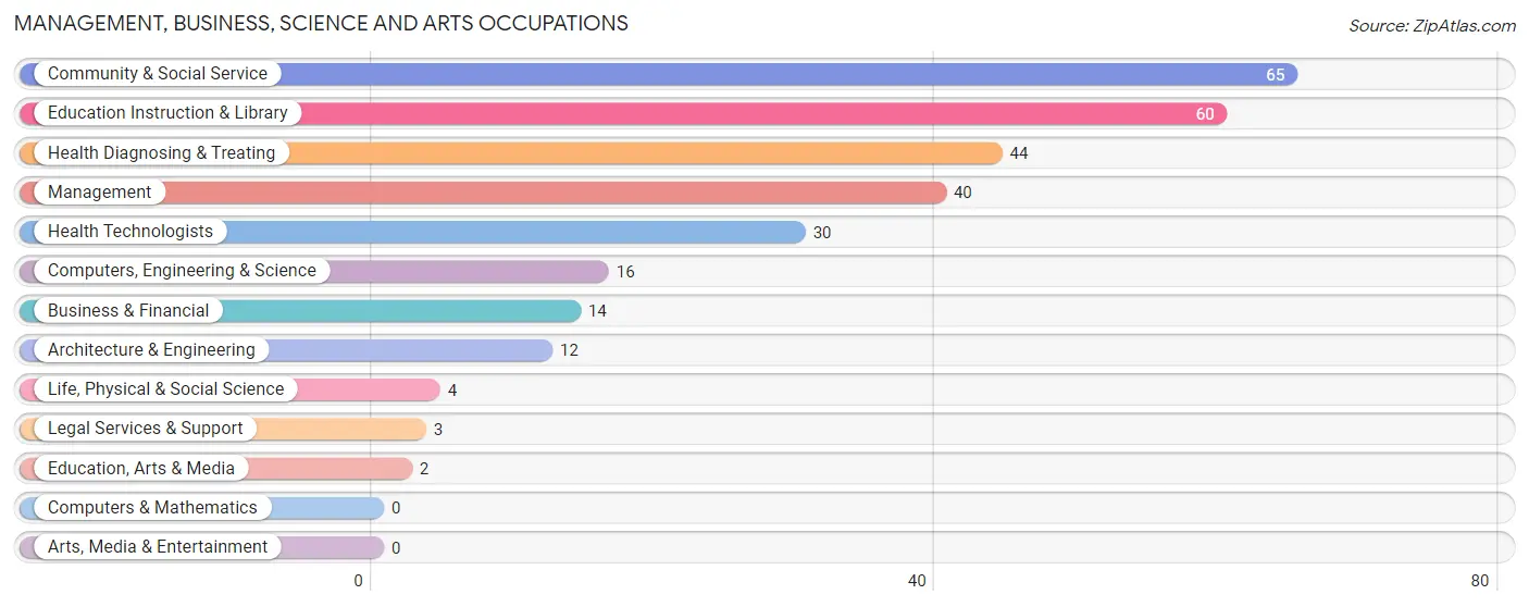 Management, Business, Science and Arts Occupations in Zip Code 13608