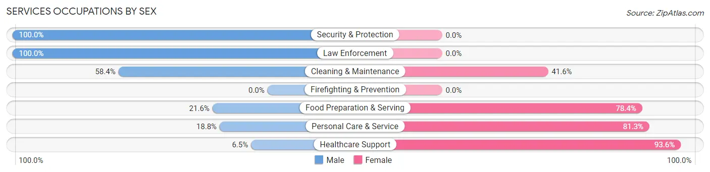 Services Occupations by Sex in Zip Code 13648