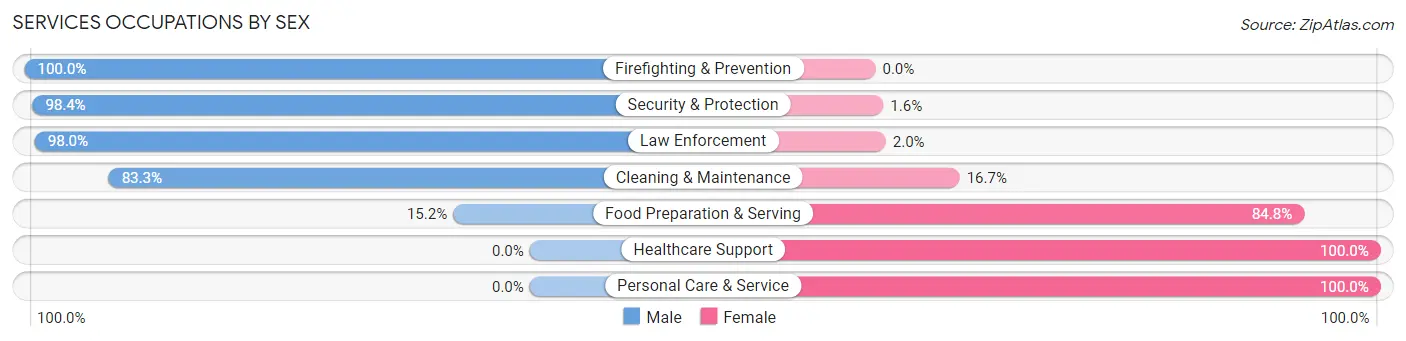 Services Occupations by Sex in Zip Code 13654