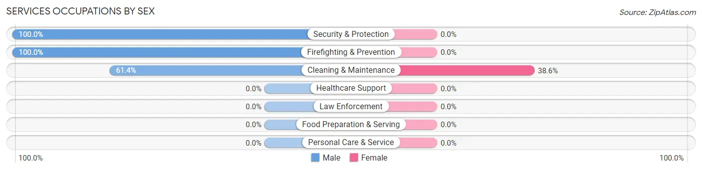 Services Occupations by Sex in Zip Code 13655