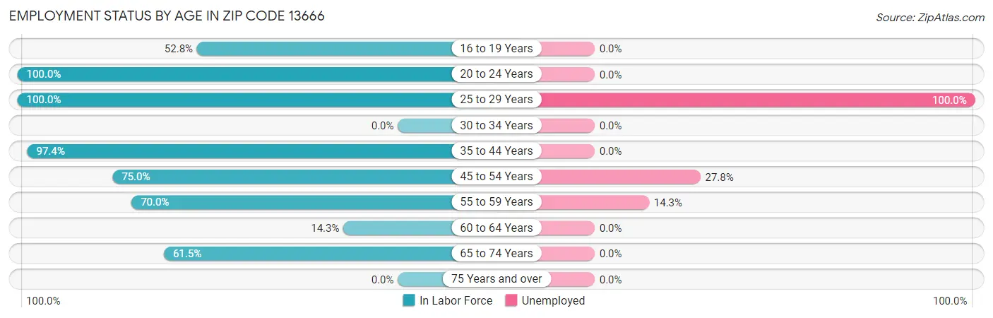 Employment Status by Age in Zip Code 13666