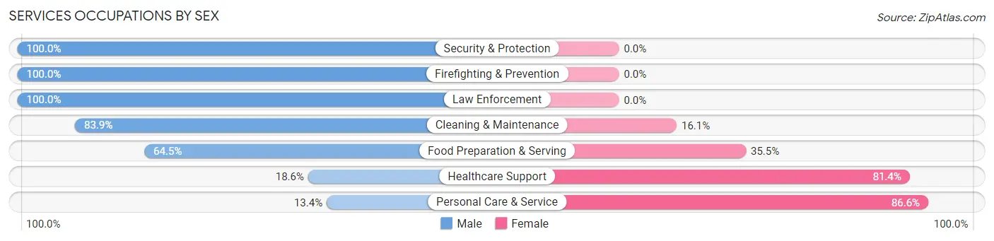 Services Occupations by Sex in Zip Code 13669
