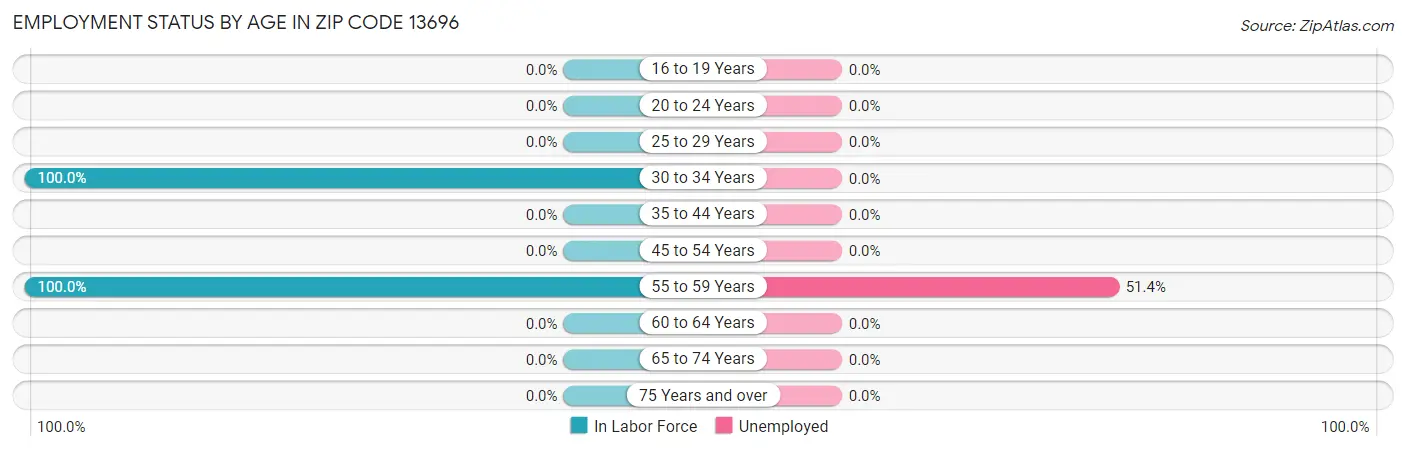 Employment Status by Age in Zip Code 13696