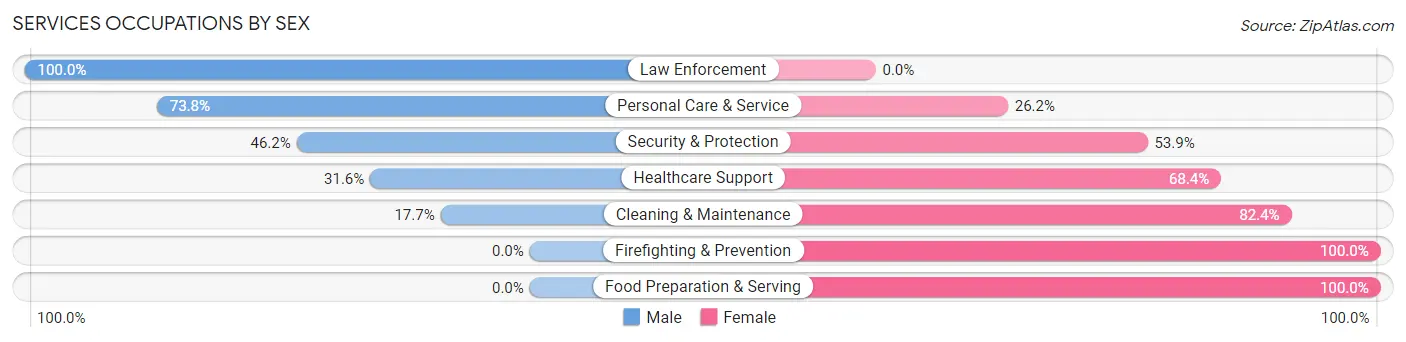 Services Occupations by Sex in Zip Code 13730