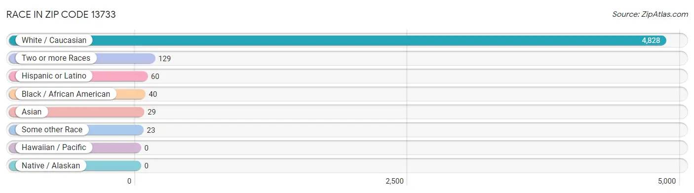 Race in Zip Code 13733