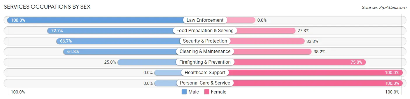 Services Occupations by Sex in Zip Code 13743