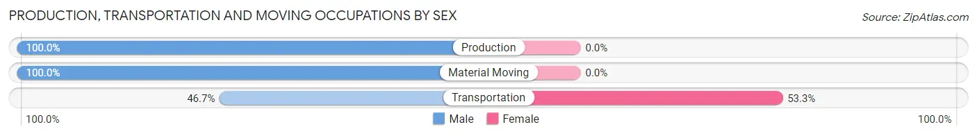 Production, Transportation and Moving Occupations by Sex in Zip Code 13744