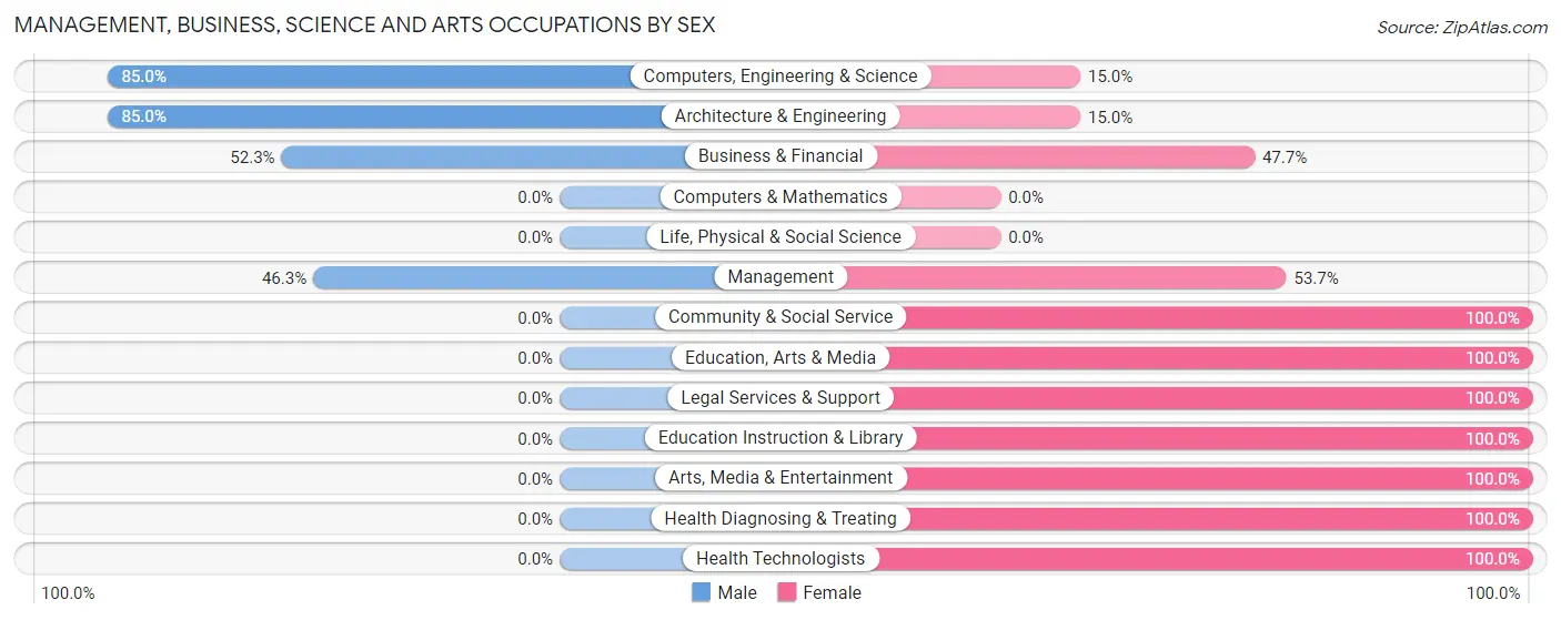 Management, Business, Science and Arts Occupations by Sex in Zip Code 13748