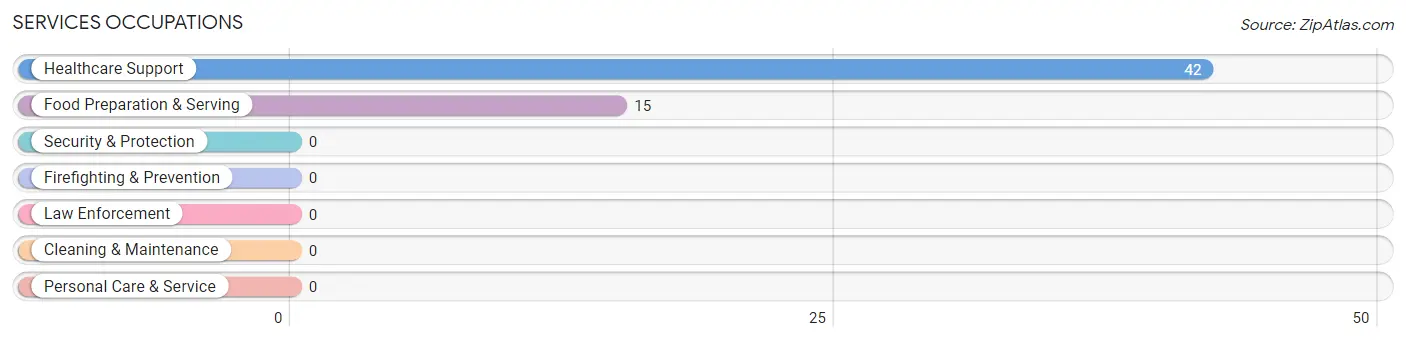 Services Occupations in Zip Code 13756