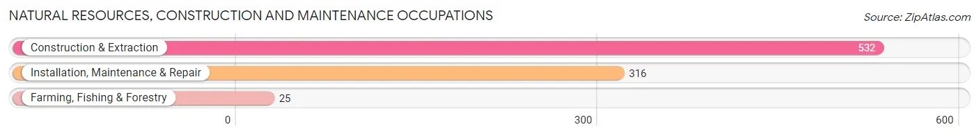 Natural Resources, Construction and Maintenance Occupations in Zip Code 13760