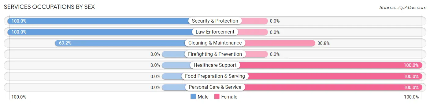 Services Occupations by Sex in Zip Code 13776