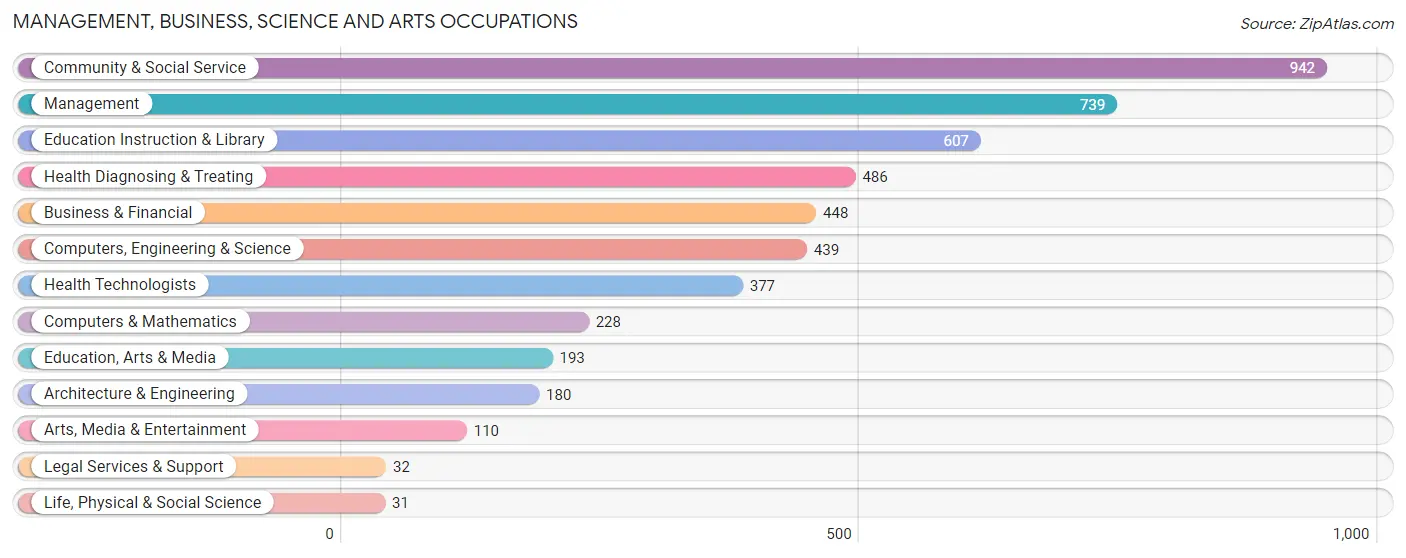 Management, Business, Science and Arts Occupations in Zip Code 13790