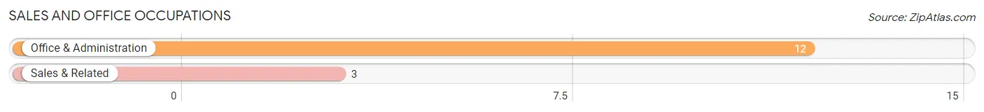 Sales and Office Occupations in Zip Code 13804