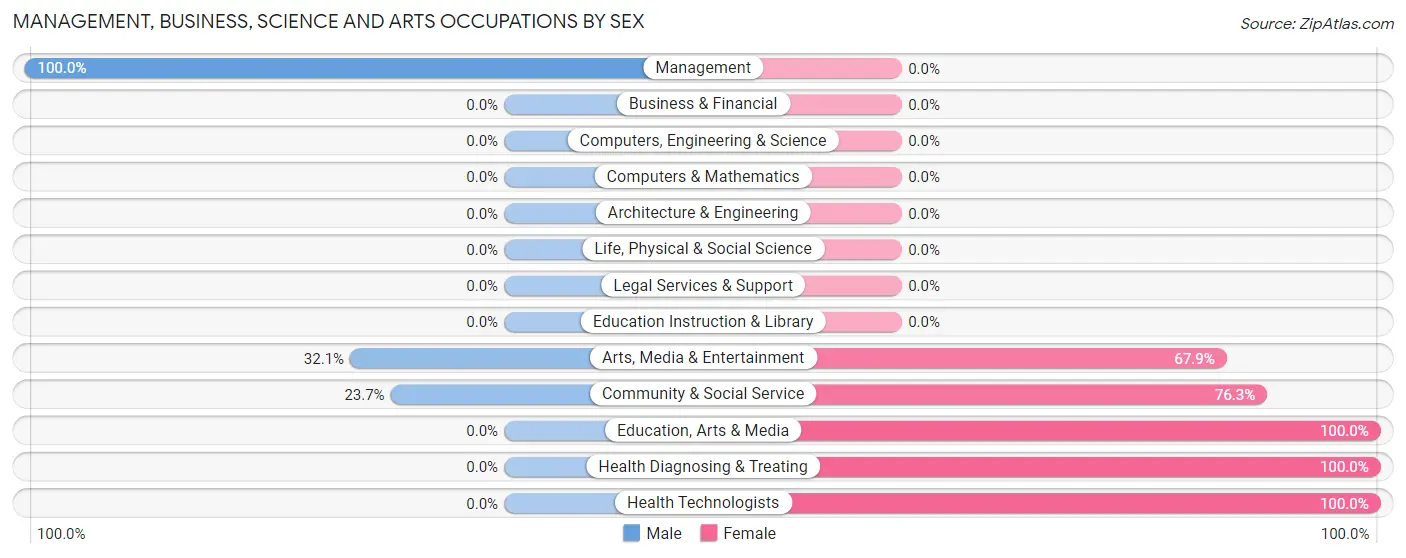 Management, Business, Science and Arts Occupations by Sex in Zip Code 13806