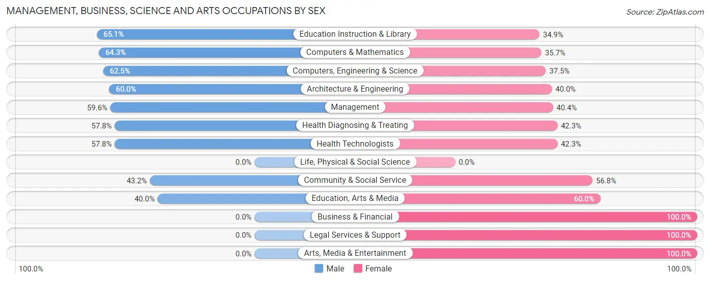 Management, Business, Science and Arts Occupations by Sex in Zip Code 13808