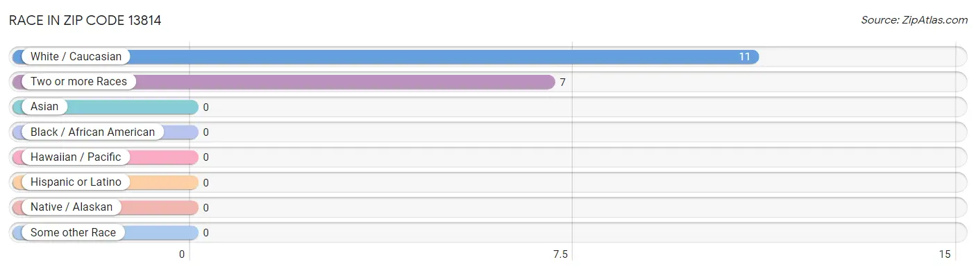 Race in Zip Code 13814