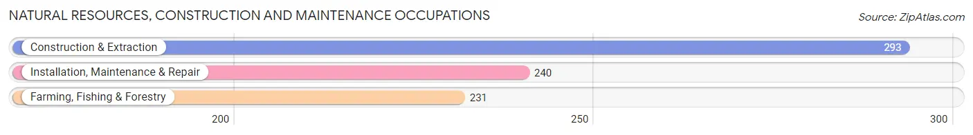 Natural Resources, Construction and Maintenance Occupations in Zip Code 13820