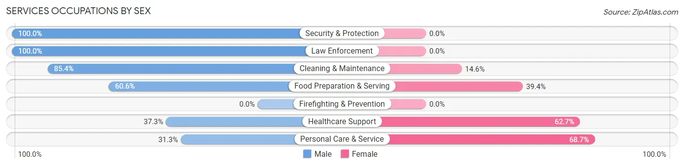 Services Occupations by Sex in Zip Code 13827