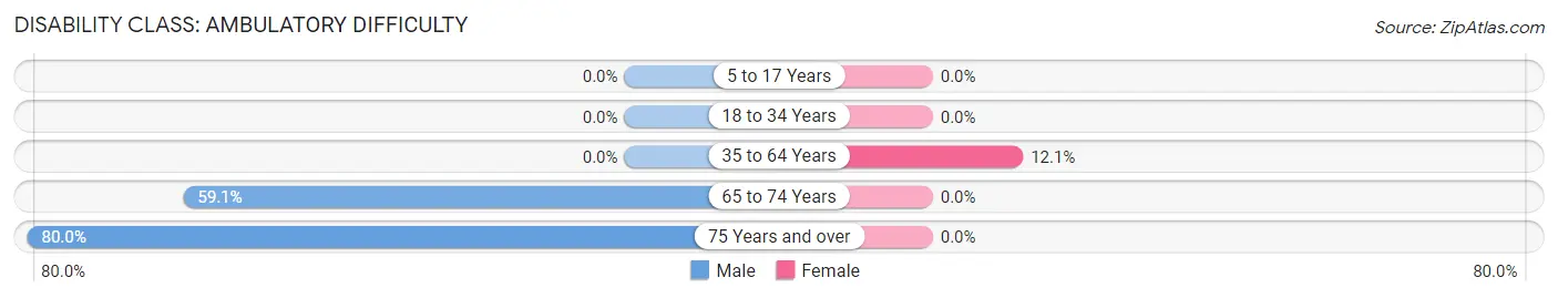 Disability in Zip Code 13832: <span>Ambulatory Difficulty</span>