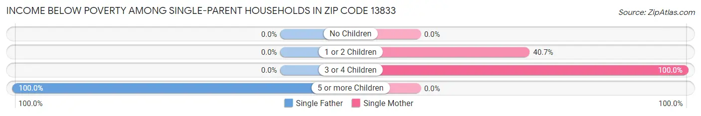 Income Below Poverty Among Single-Parent Households in Zip Code 13833