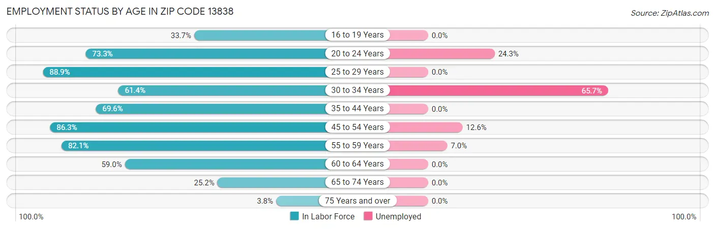 Employment Status by Age in Zip Code 13838