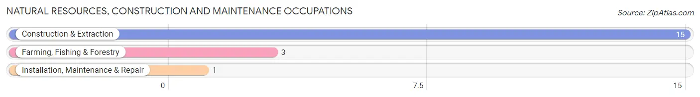 Natural Resources, Construction and Maintenance Occupations in Zip Code 13842