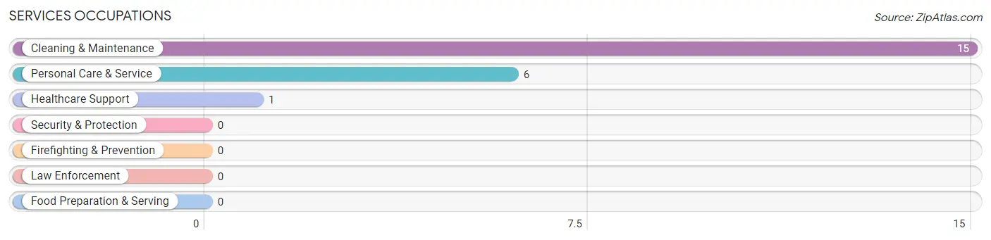 Services Occupations in Zip Code 13842